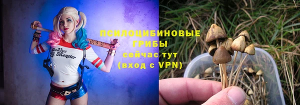 каннабис Арсеньев