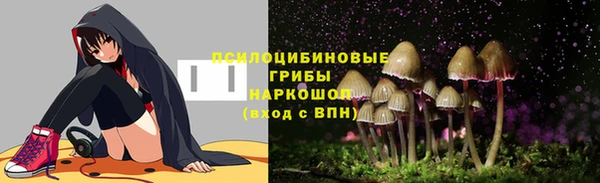 дурь Алзамай