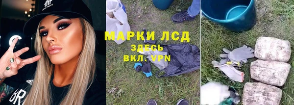 индика Алексеевка