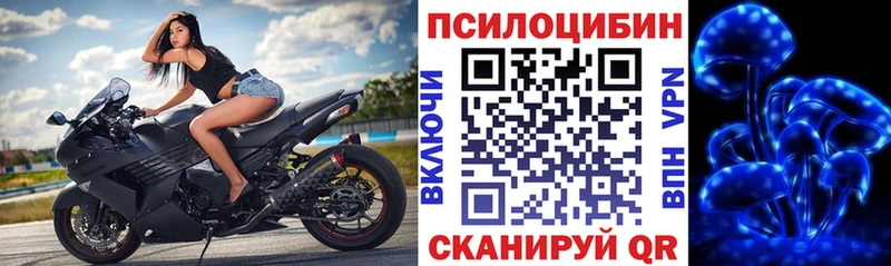 Псилоцибиновые грибы MAGIC MUSHROOMS  Краснотурьинск 