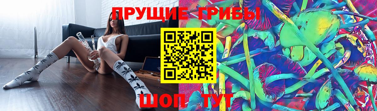 Краснотурьинск  Галлюциногенные грибы прущие грибы  Вход с VPN 